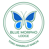 BLUE-MORPHO-LODGE (1)