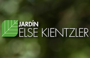 Captura de pantalla 2021-09-23 a la(s) 19.52.34