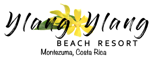 YlangYlangBeachResortLogo_2019_2000x802
