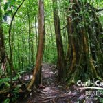 Curi-cancha12-640x480