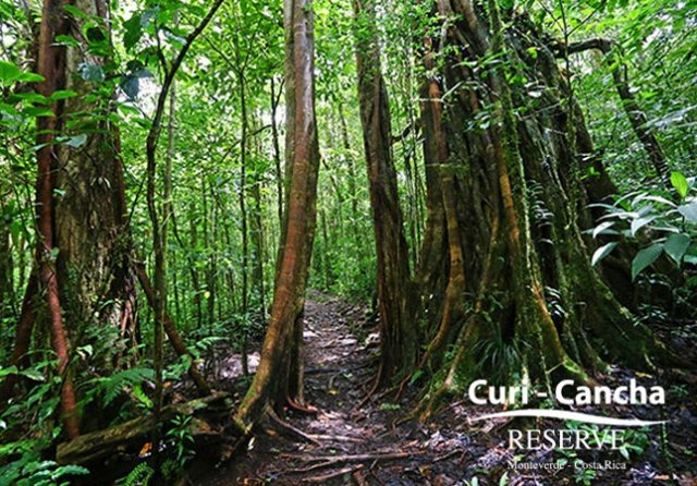 Curi-cancha12-640x480