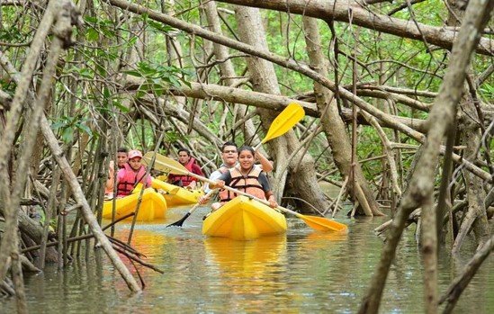 Kayak Isla damas