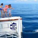delfines 1