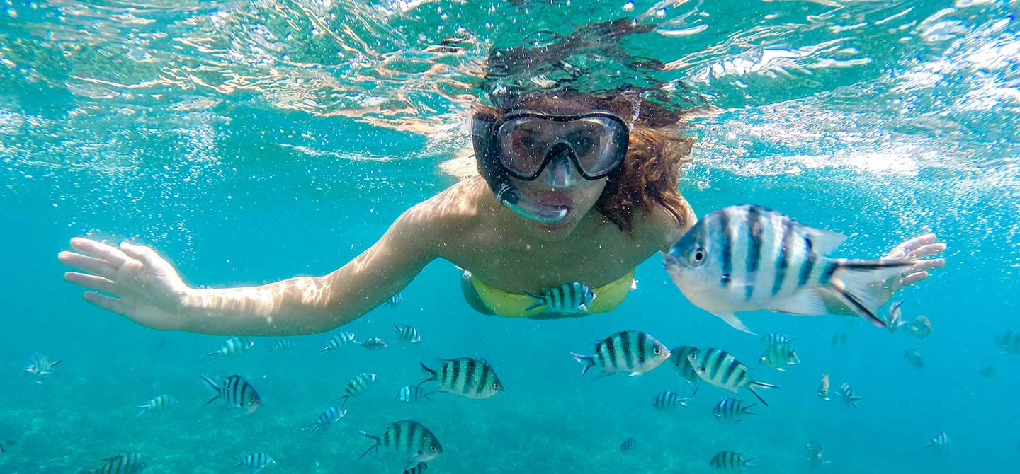 snorkel